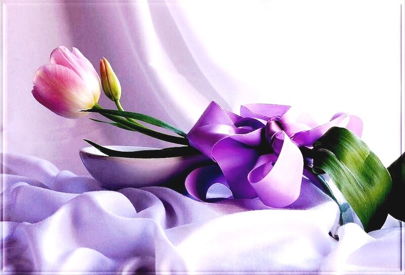 Pink Tulip with Purple Ribbon