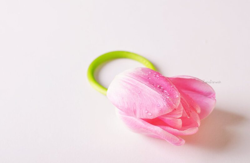 Pink Tulip with Water Droplets — Serene, Photograph, Green Hair Tie
