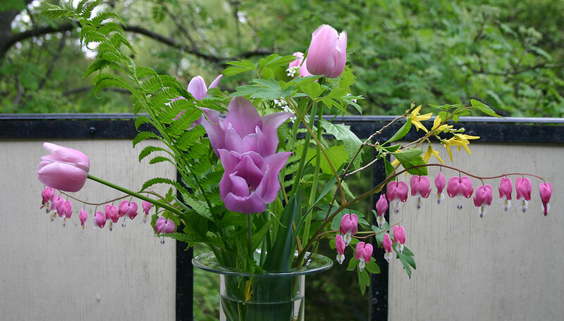 Pink Tulips and Bleeding Hearts