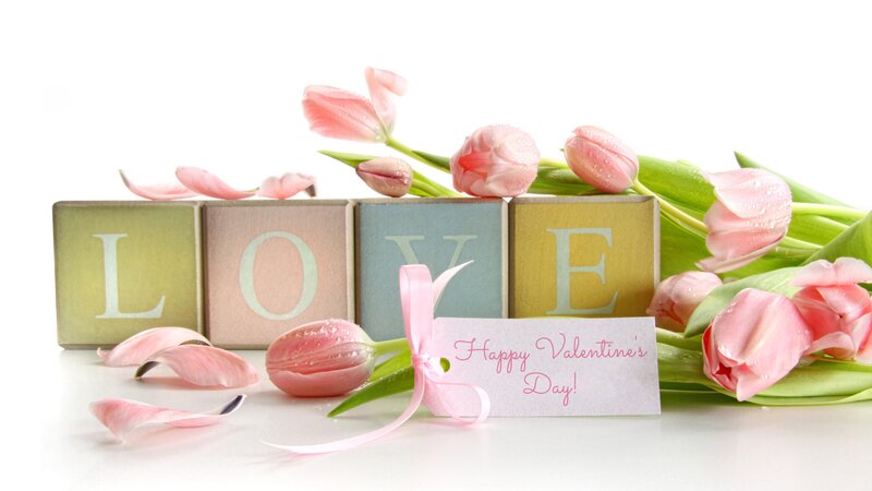 Pink Tulips and Blocks — Romantic