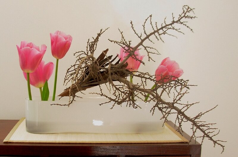 Pink Tulips and Branches