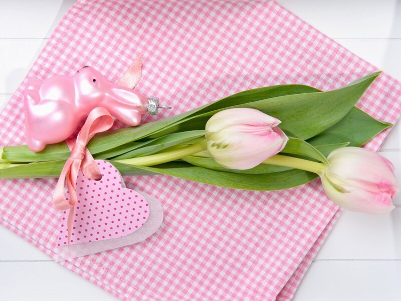 Pink Tulips and Bunny — Calm