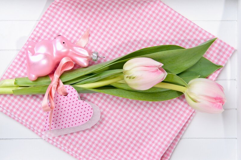 Pink Tulips and Bunny