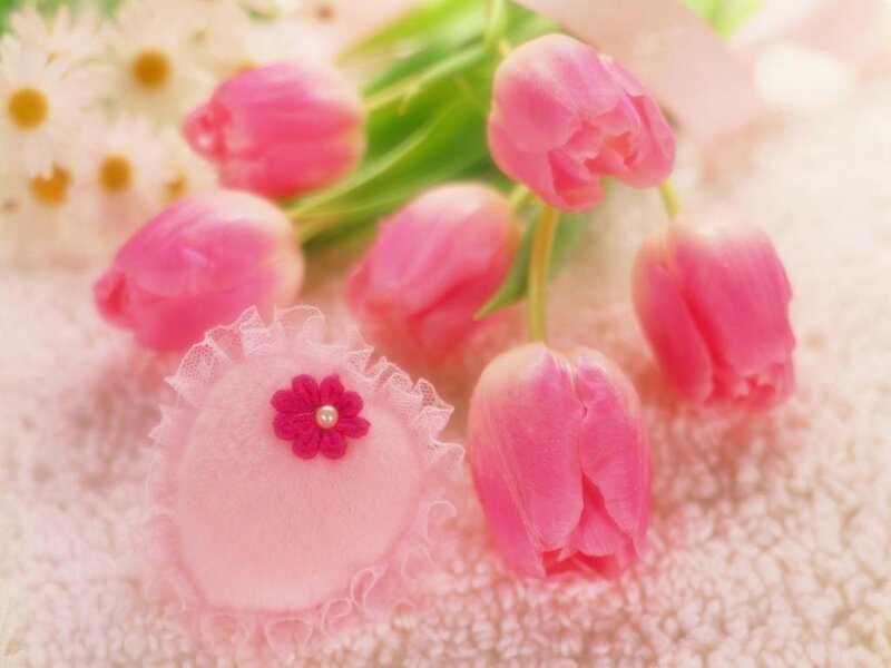 Pink Tulips and Daisies — Soft