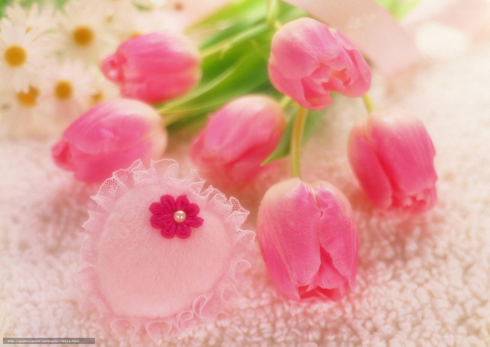 Pink tulips and daisies