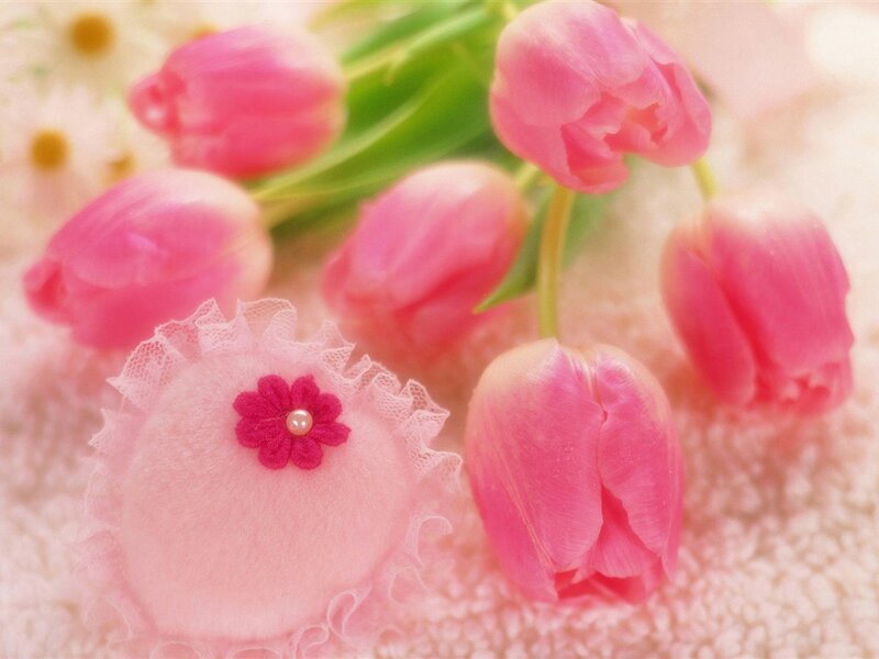 Pink Tulips and Flower