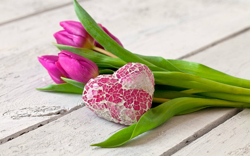 Pink Tulips and Heart — Calm
