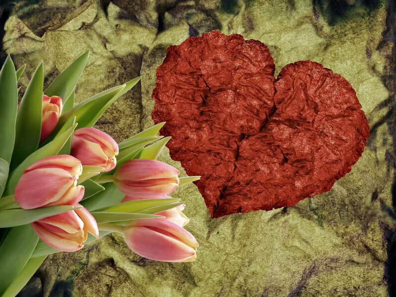 Pink Tulips and Heart