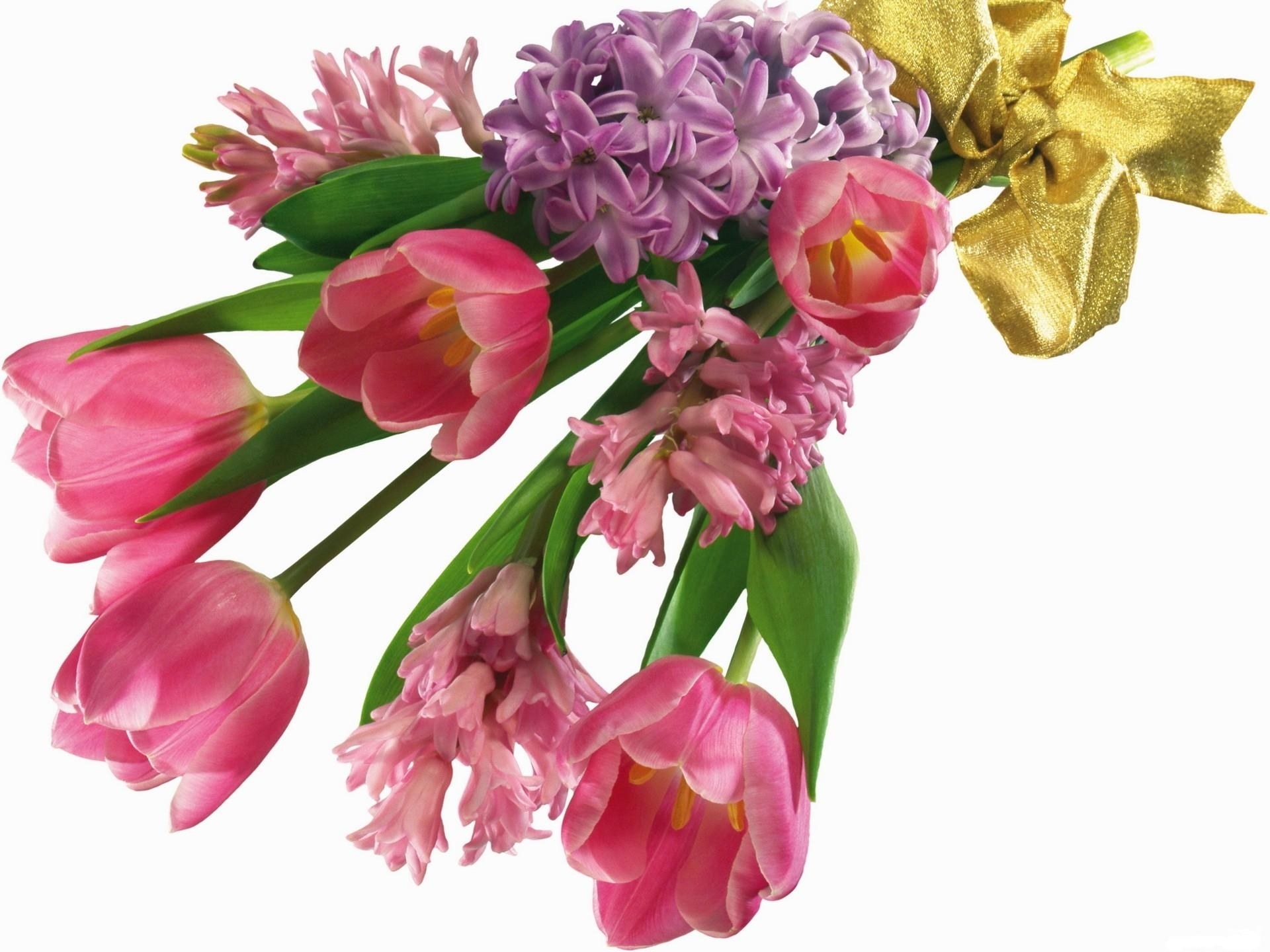 Pink tulips and hyacinths bouquet