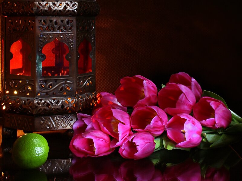 Pink Tulips and Lantern