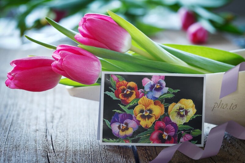 Pink Tulips and Pansies