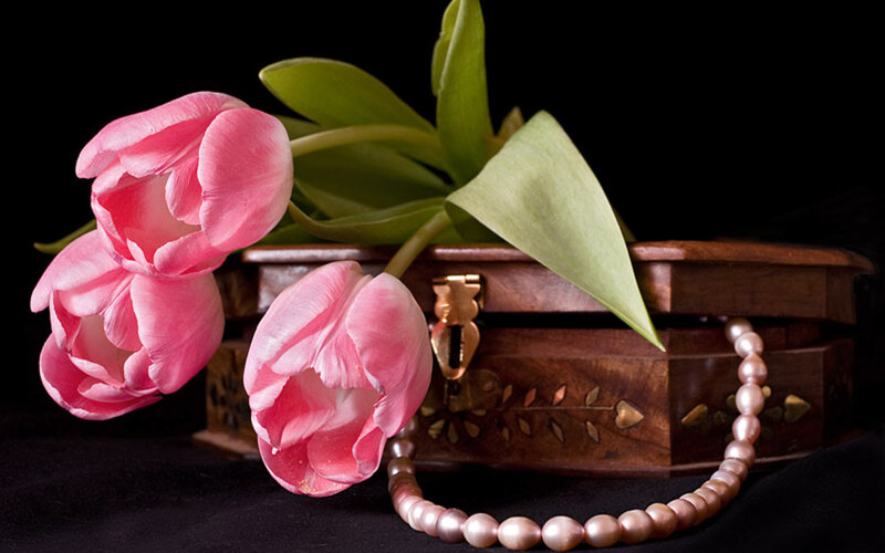 Pink Tulips and Pearls