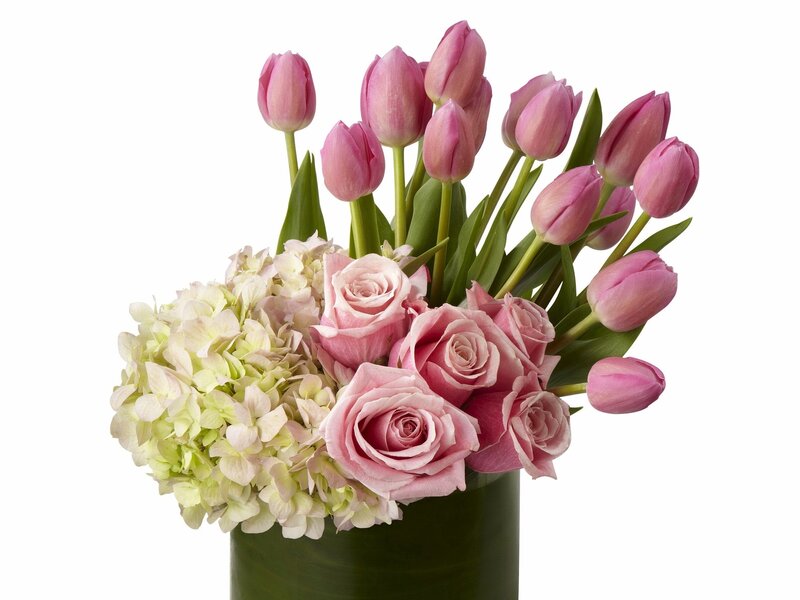 Pink Tulips and Roses — Calm, Spring
