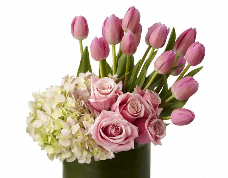 Pink Tulips and Roses — Calm