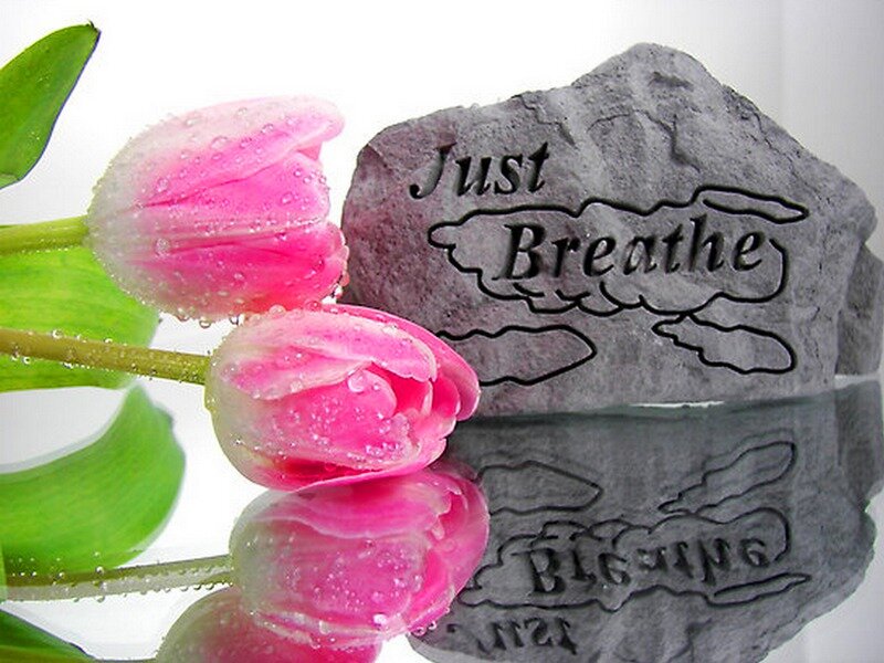 Pink Tulips and Stone