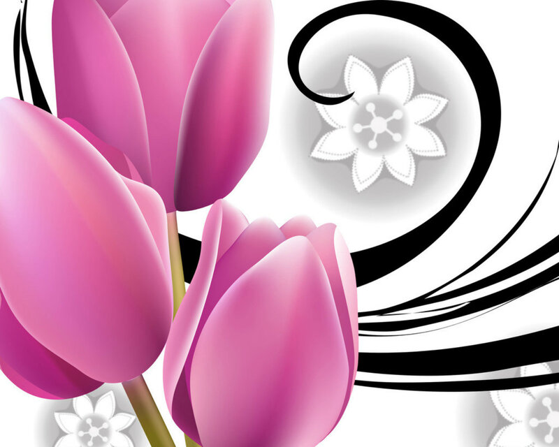 Pink Tulips and Swirls