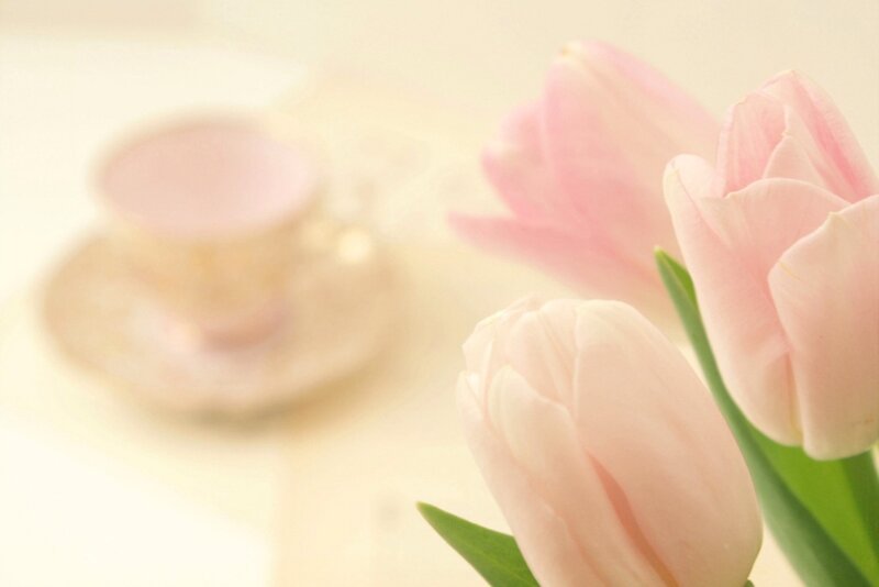 Pink Tulips and Teacup — Serene