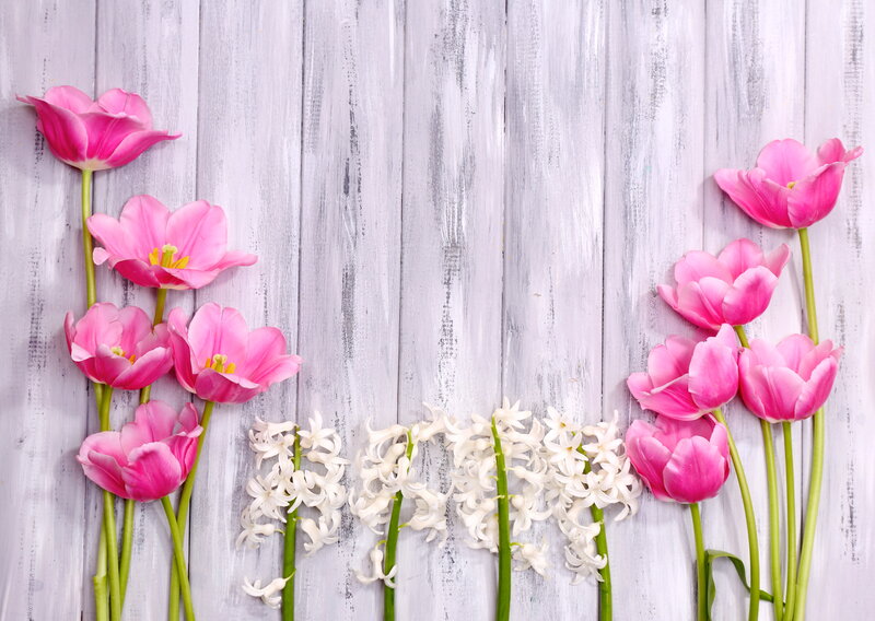 Pink Tulips and White Hyacinths