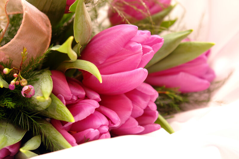 Pink tulips bouquet