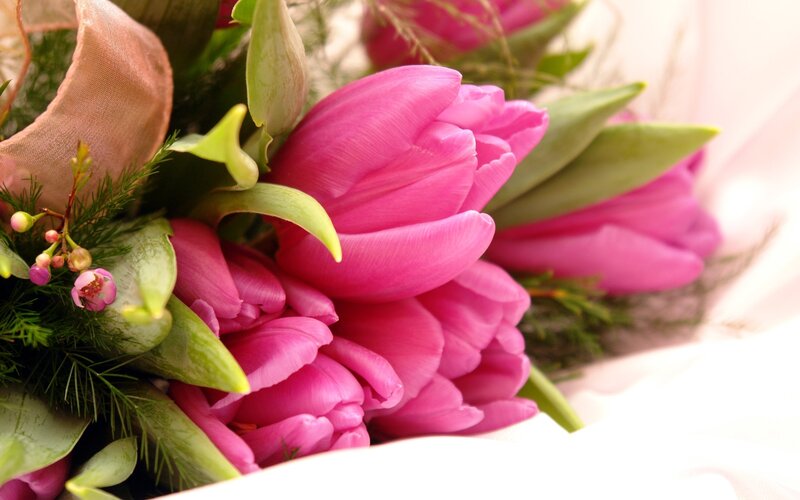 Pink tulips bouquet