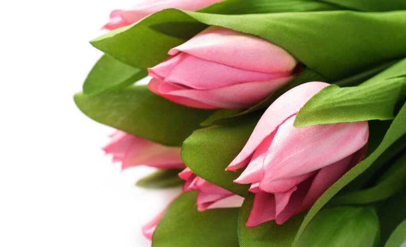 Pink Tulips Bouquet — Calm