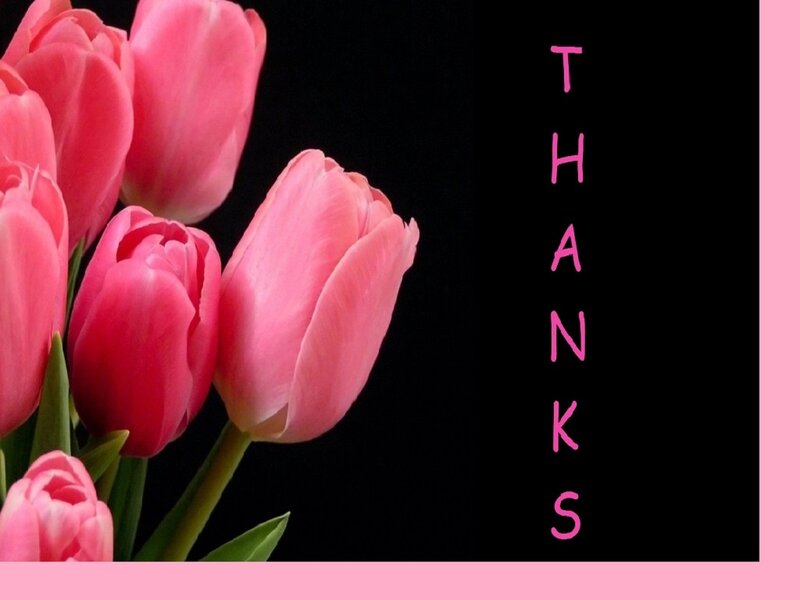 Pink Tulips Bouquet — Grateful