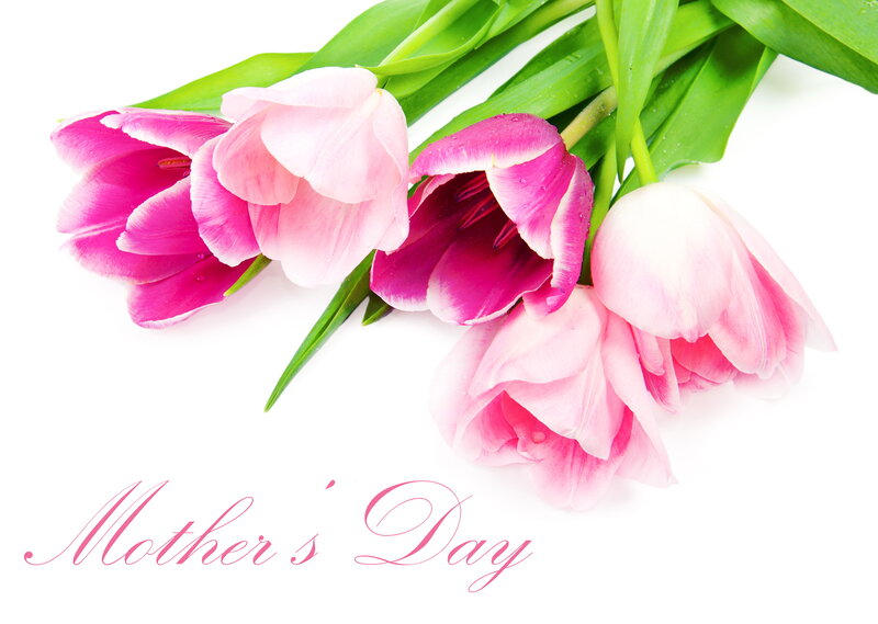 Pink Tulips Bouquet — Serene, Spring, Photograph, Green Leaves