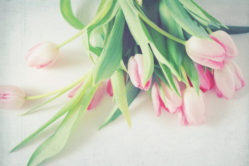 Pink Tulips Bouquet — Serene, Spring
