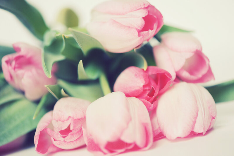 Pink Tulips Bouquet — Soft