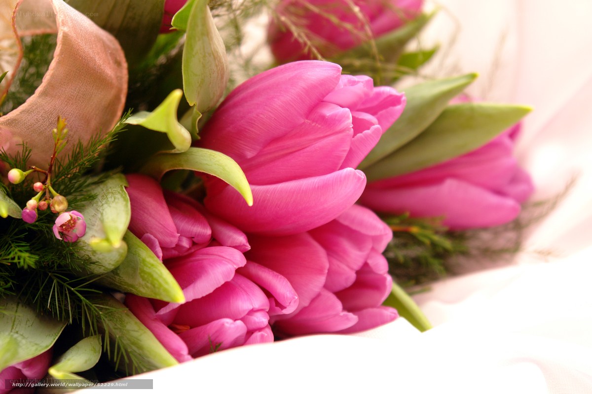 Pink tulips bouquet