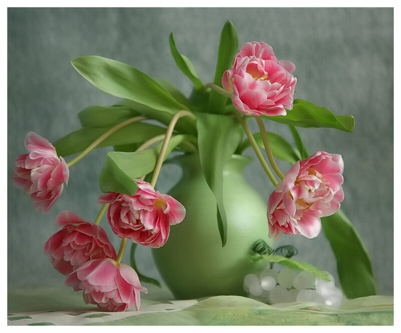 Pink tulips in a green vase