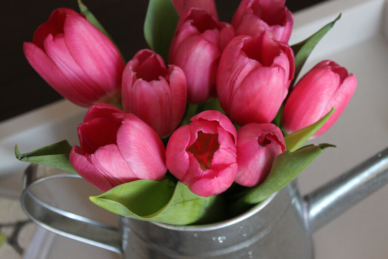 Pink Tulips in a Pitcher