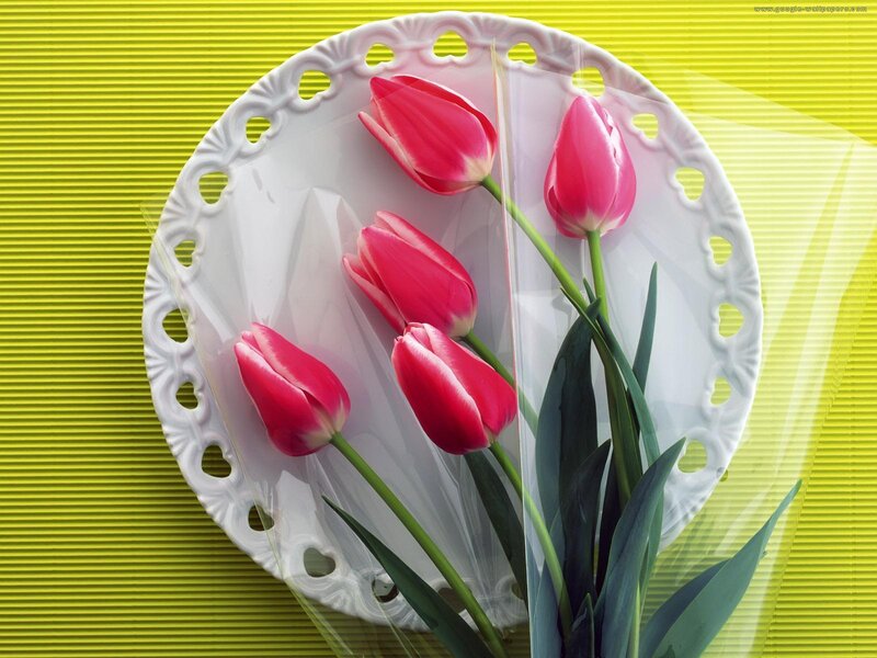 Pink Tulips in a Plate