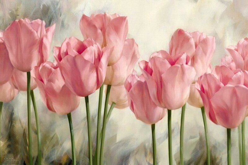 Pink Tulips in a Row — Serene, Spring