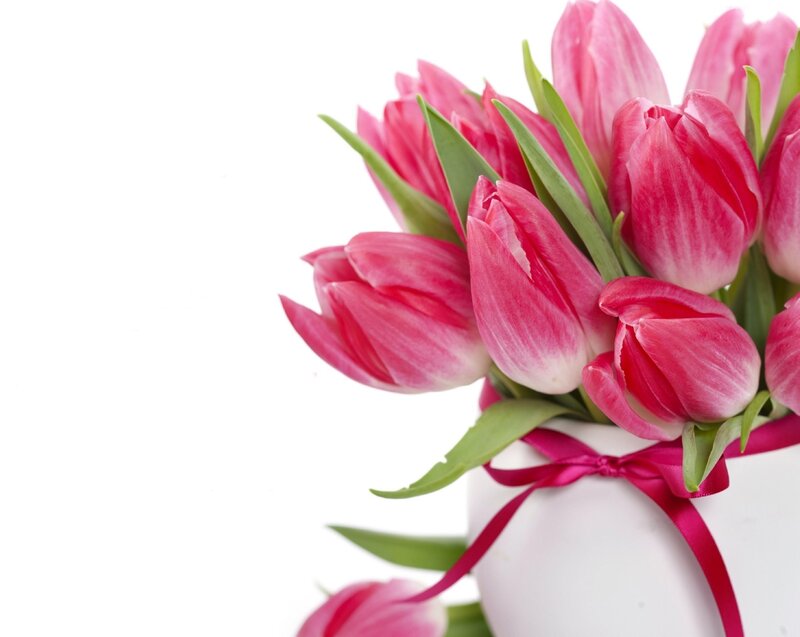 Pink tulips in a vase