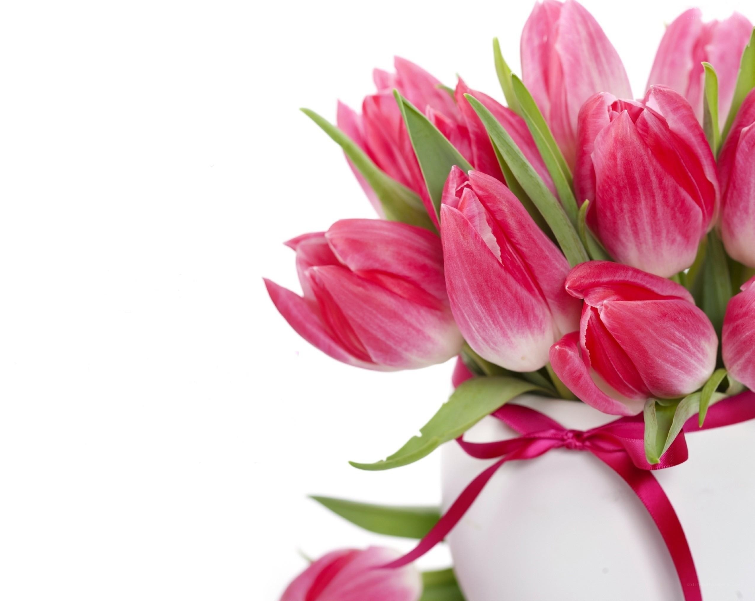 Pink tulips in a vase