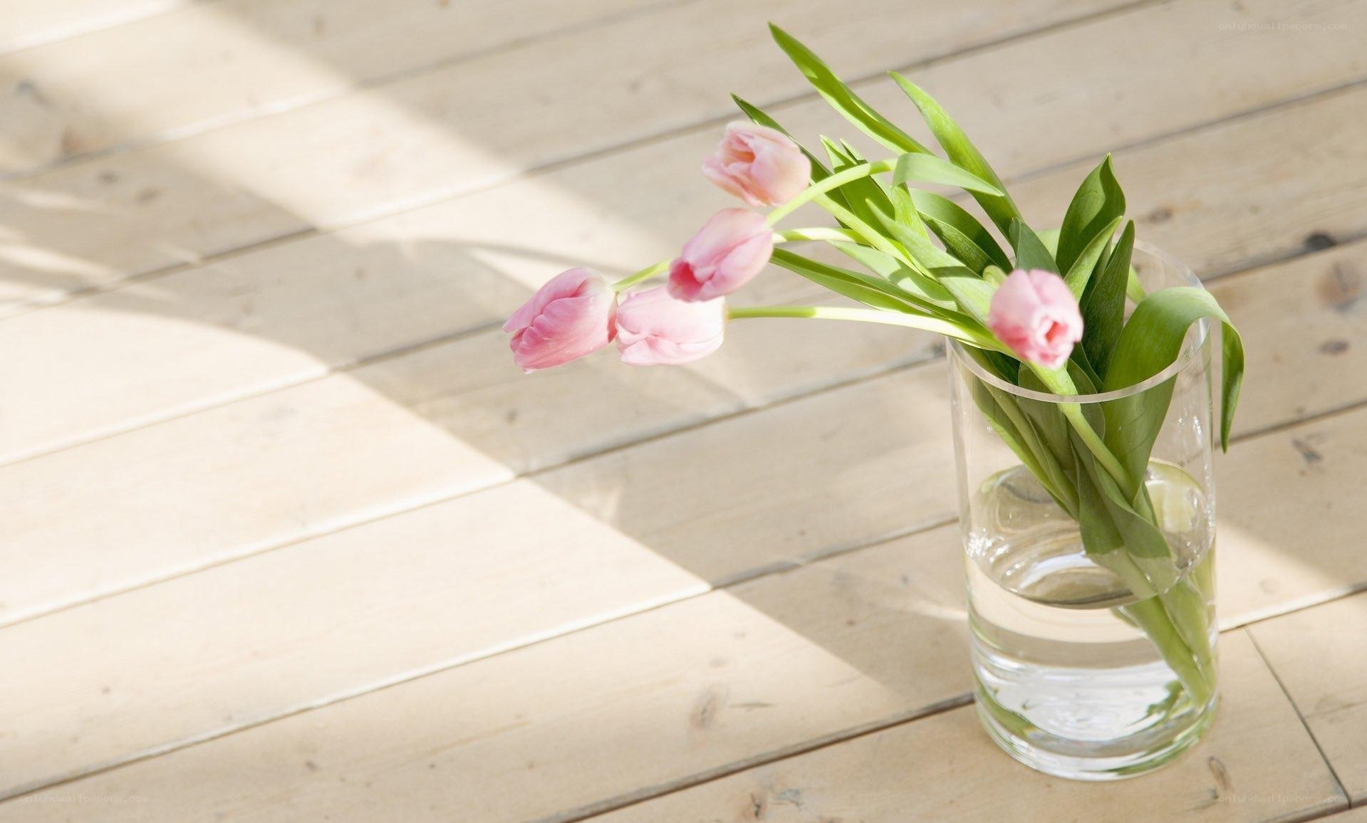 Pink tulips in a vase