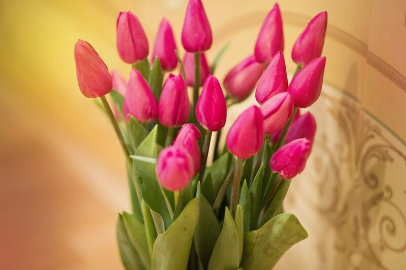 Pink Tulips in a Vase — Calm, Photograph