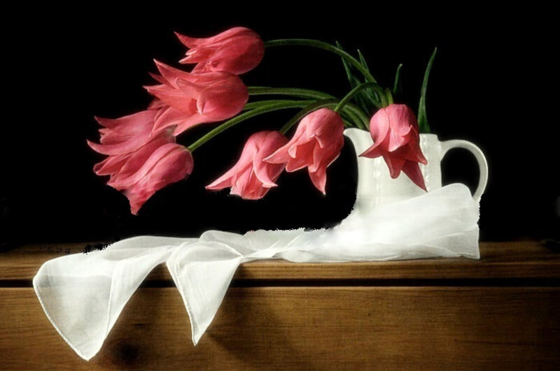 Pink tulips in a white pitcher