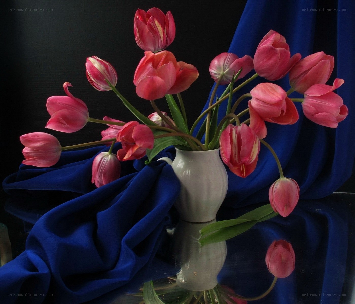 Pink tulips in a white vase