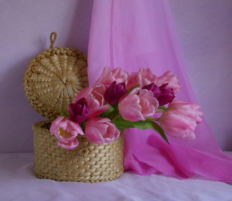 Pink Tulips in Basket — Calm, Photograph