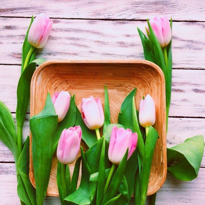 Pink Tulips in Basket — Calm, Spring, Photograph, Wooden Surface