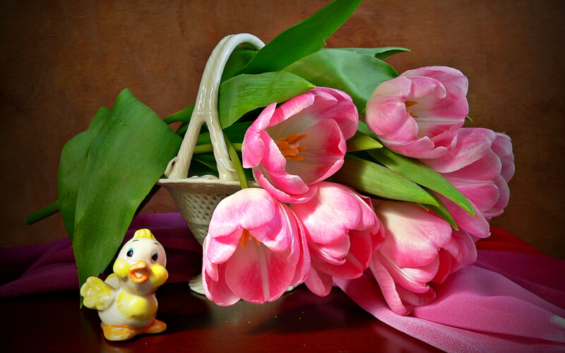 Pink Tulips in Basket — Calm, Spring