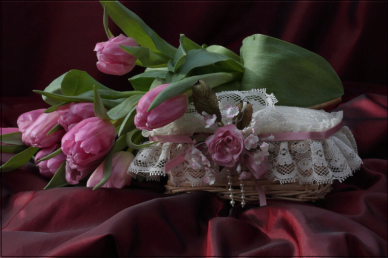 Pink Tulips in Basket — Dramatic, Photograph