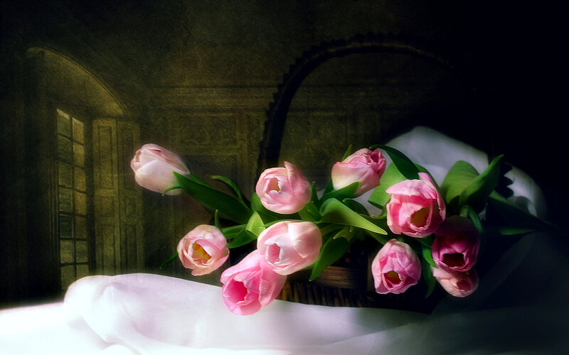 Pink Tulips in Basket — Dramatic