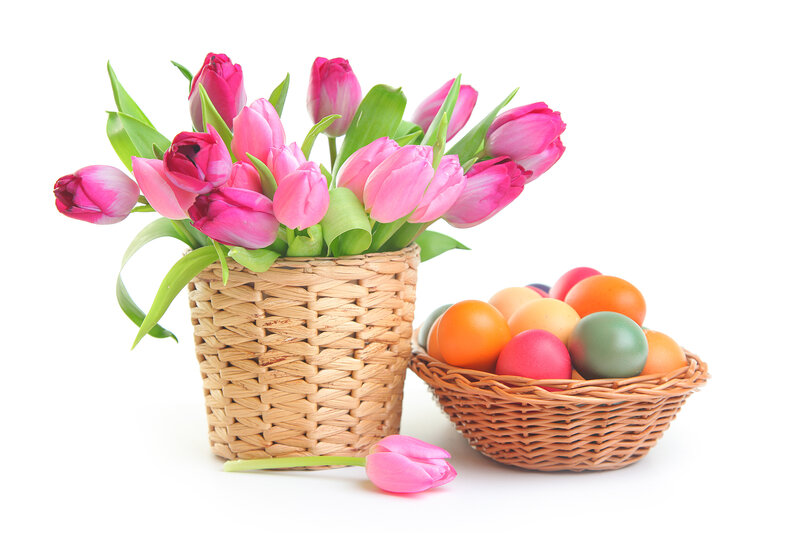 Pink Tulips in Basket — Festive, Spring