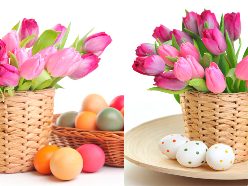 Pink Tulips in Basket — Festive