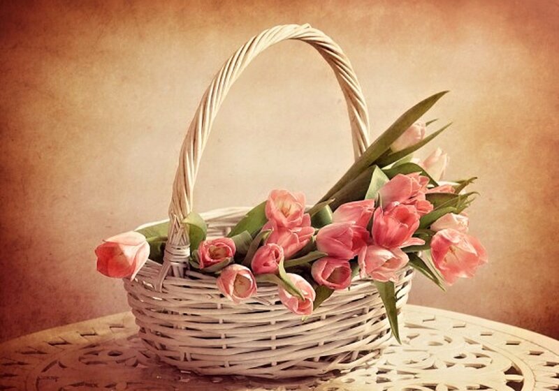 Pink Tulips in Basket — Serene, Photograph, Table