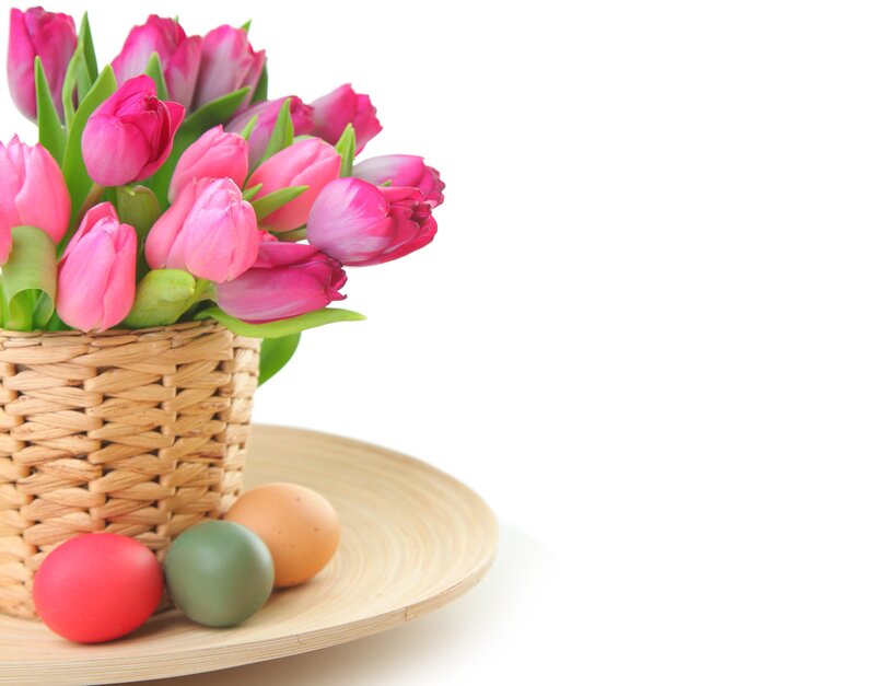 Pink Tulips in Basket — Serene, Spring, Photograph