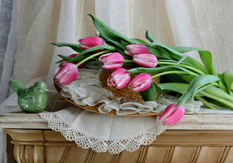 Pink Tulips in Basket — Serene, Spring
